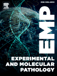 Experimental and molecular pathology